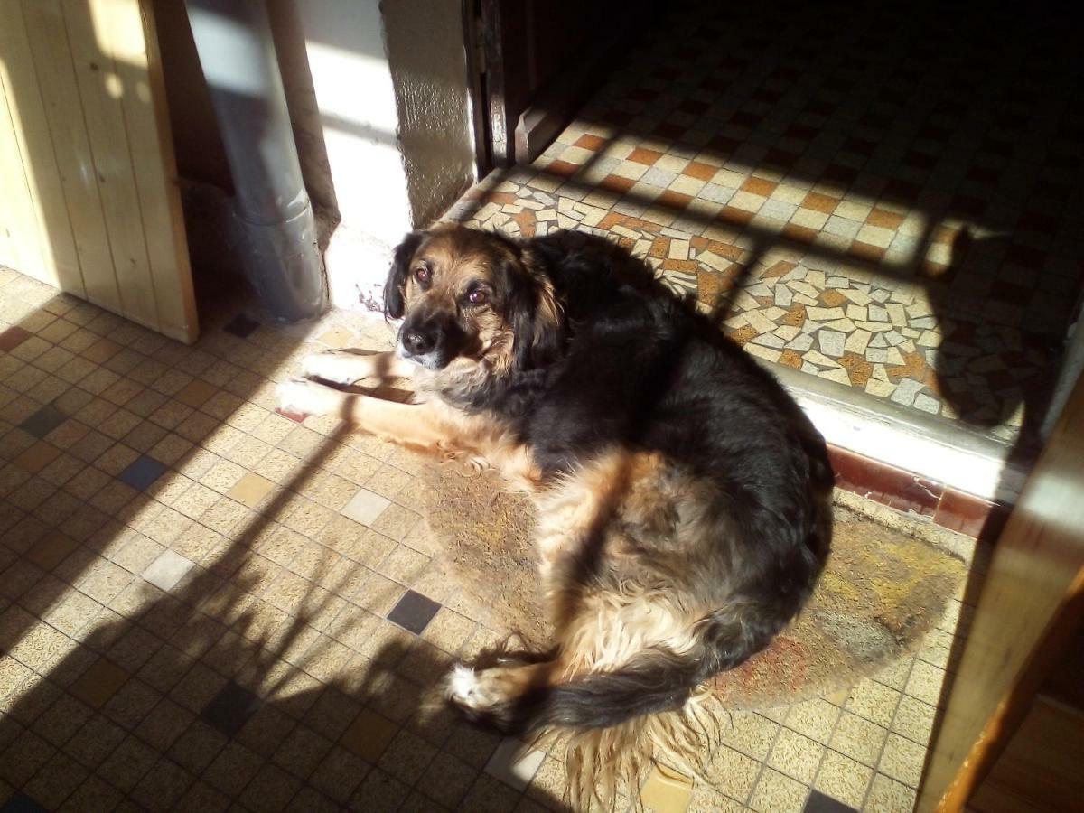 La Forge Panzió Sore Kültér fotó